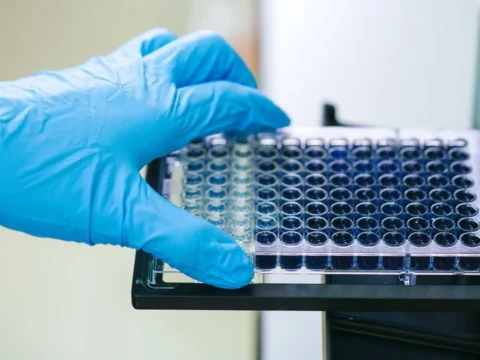 More than 100,000 new cases of COVID reported, mortality rate lags behind