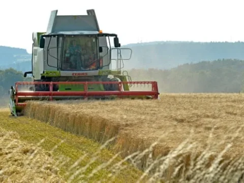 Farmers urge chain stores to reconsider cooperation, support local producers