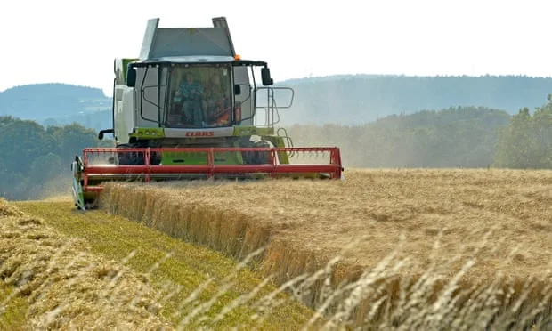 ForFarmers wants to relocate production in UK