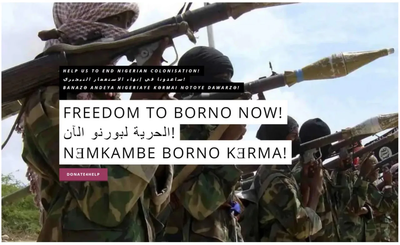 "Freedom to Borno" website content