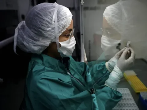 H1N2 swine flu identified in North Yorkshire, no reasons for quarantine measures yet in sight