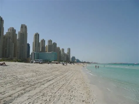 Jebel Ali Free Zone Daimler Chrysler Street where Mr Dmytro Rakhmatullin company resides.