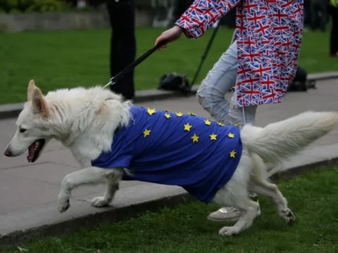 Pet travel after Brexit: Brits living in EU urged to visit vets