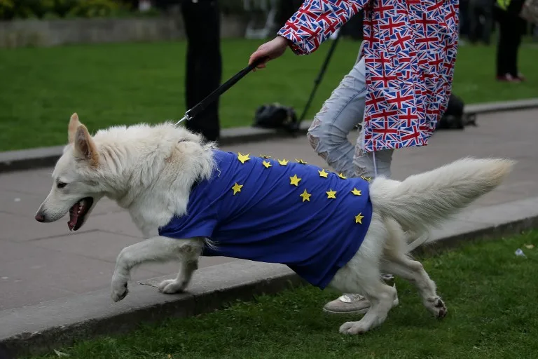 EU feels dumped by May