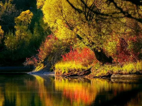 An excellent September is a gift – and a warning