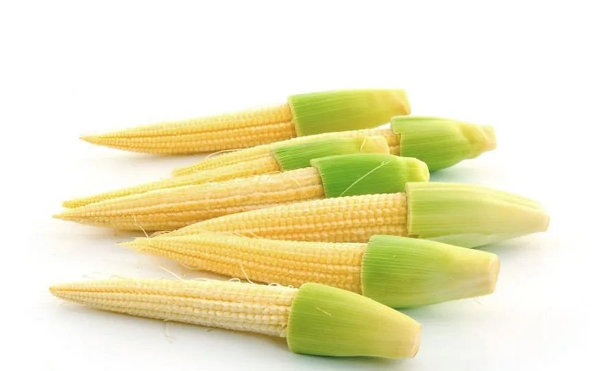 UK becomes the European center of ‘Baby corn’ consumption