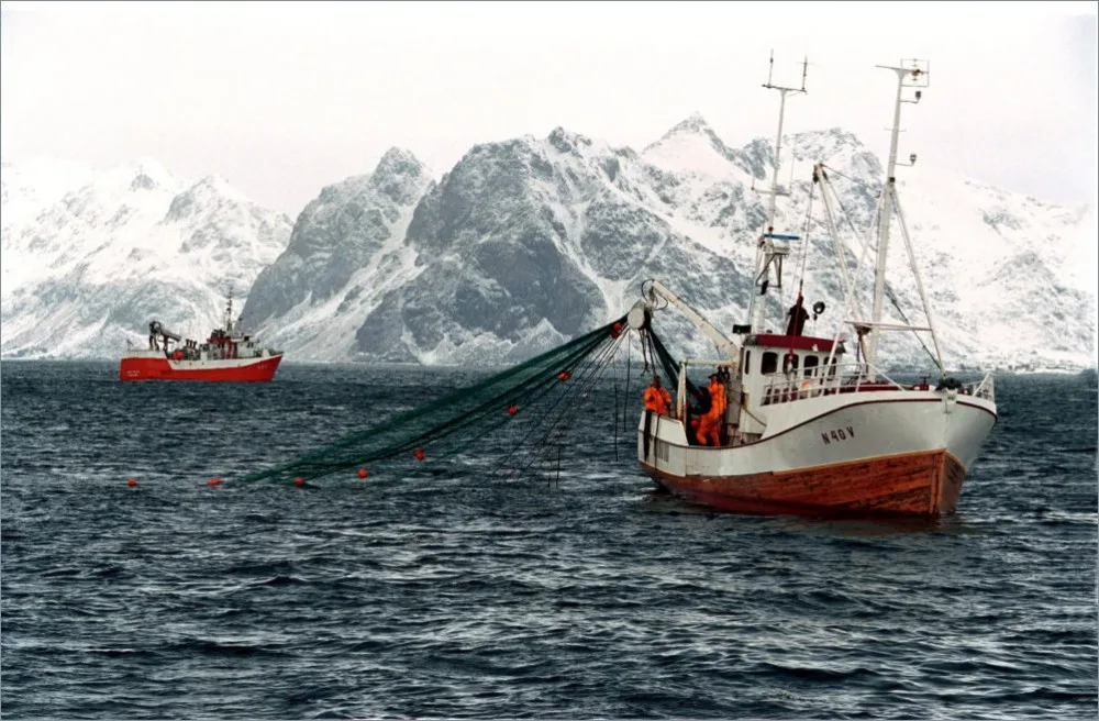 Why fish&chips lost to fried chicken?