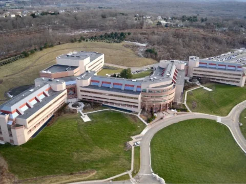 Bristol-Myers Squibb sets off to a good start