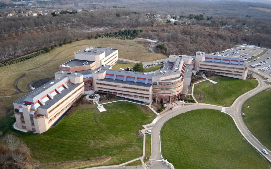 Bristol-Myers Squibb sets off to a good start