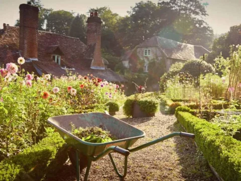 Will Brexit revive the British horticulture?