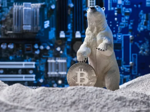 All crypto companies must get FCA’s approval: the government