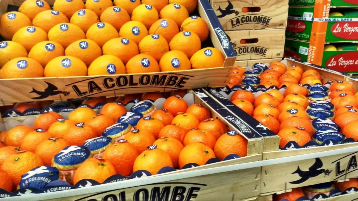 The rules for fruit importers are still a work in progress