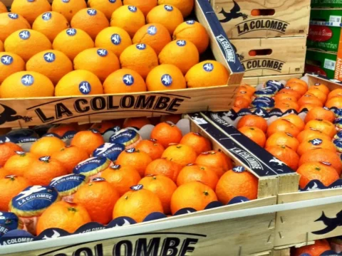UK to impose heavy import tariffs on Spanish clementines