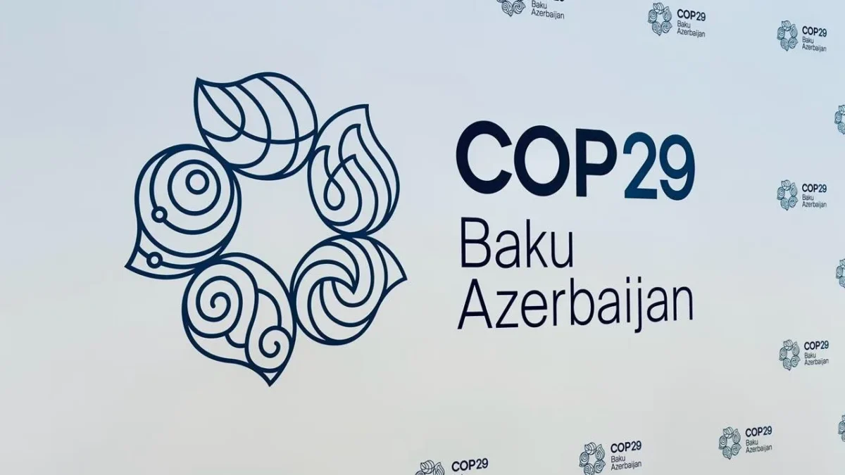 COP29 seems to be ending in chaos, with no concrete steps or declarations in sight
