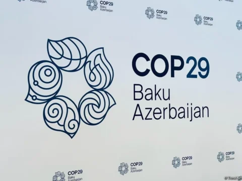 COP29 seems to be ending in chaos, with no concrete steps or declarations in sight