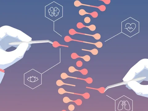 Europe lags behind China in CRISPR research, UK is planning to rid of the obstacles to get on board
