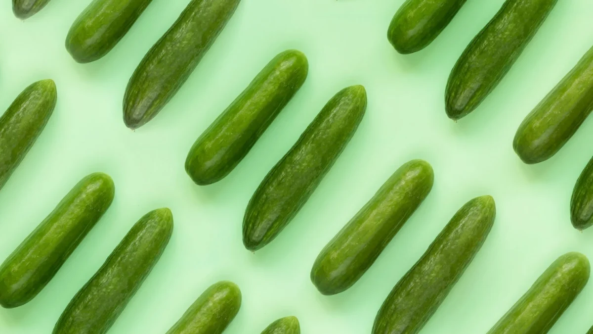 UK cucumbers move to Singapore