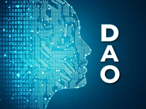 DAOs will not be regulated separately from more common companies