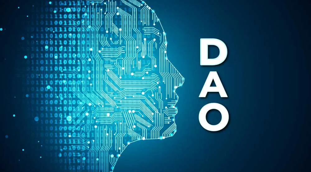 DAOs will not be regulated separately from more common companies