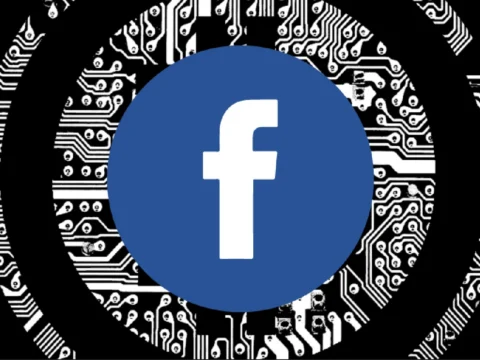 The government paid Facebook to deprive people of privacy in a name of ‘child protection’