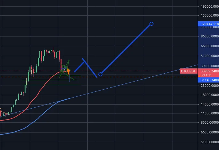 Forecast of 2021 2022