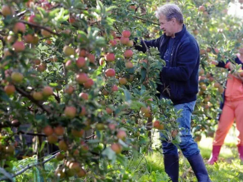 Bangladesh builds new airport for exporting vegetables to Europe and UK