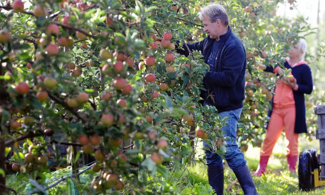 Bangladesh builds new airport for exporting vegetables to Europe and UK