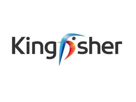 Kingfisher gets a new CEO