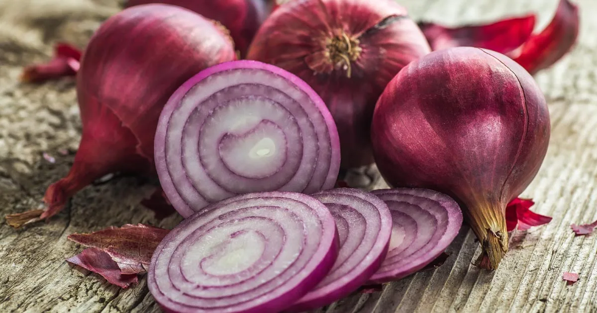 Onions, ginger and garlic from China encounter the trade barriers