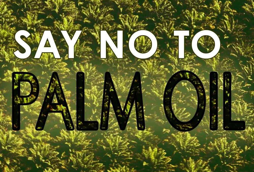 Complaint against ING for financing palm oil filed