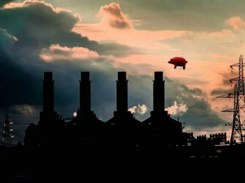 Pigs on the wing: up to 135,000 millionaires want to leave their own countries in 2025