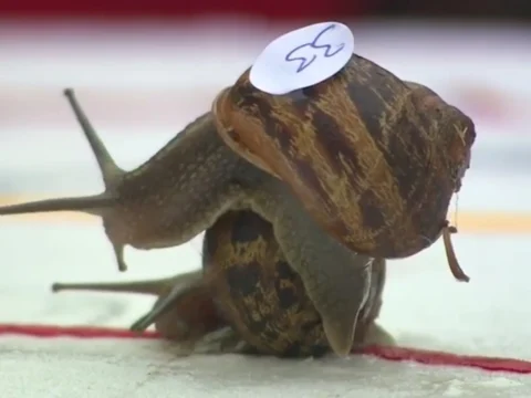 The G7’s great snail derby: where Britain’s ‘winning’ growth barely outpaces stagnation