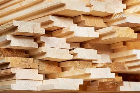 Up to 50 percent of imported European timber actually comes from Russia