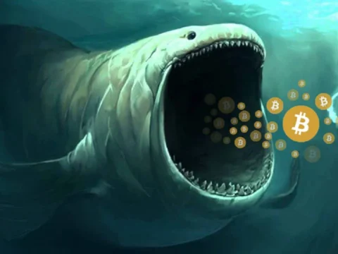 Our government is (secretly) a bitcoin whale